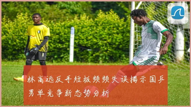 林高远反手短板频频失误揭示国乒男单竞争新态势分析